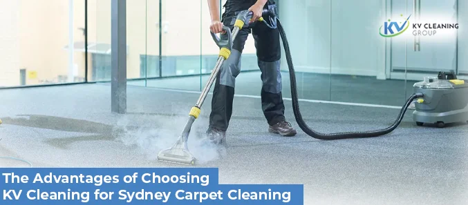 Professional Commercial Cleaning Services in Sydney